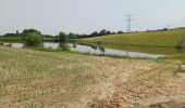 Randonnée Marche Grézieu-la-Varenne - grezieu la varenne. entre chemins et goudron  - Photo 1