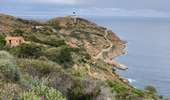 Trail Walking Calvi - Revellata  - Photo 5