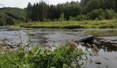 Trail Walking Bouillon - Poupehan_Rochehaut_Frahan_Poupzhan - Photo 9