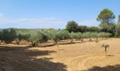 Tour Wandern Fontanilles - vieux chemin antique 210723 - Photo 8