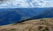 Trail Walking La Bresse - pied du Hohneck - le Kastelbeck - Photo 6
