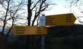Trail On foot Hauenstein-Ifenthal - Ifenthal- Trimbach - Photo 4
