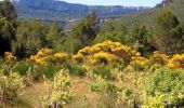 Trail Walking Nans-les-Pins - SityTrail -  La source de L' huveaune - Vieux nans - grottes - Photo 16