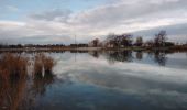 Randonnée Marche Monteux - lac de monteux  - Photo 2