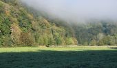 Trail Walking Bouillon - rando rochehaut 5-10-2024 - Photo 16