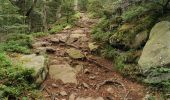 Excursión Senderismo Ribeauvillé - boucle la grande verrerie-roche des 3 tables-roche des reptiles-roche des géants-la grande verrerie  - Photo 11