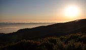 Tocht Te voet Arco da Calheta - Levada do Paul - Photo 8