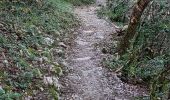 Trail Walking Malaucène - Malaucene-Crestet-Vaison la Romaine  - Photo 13
