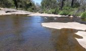 Excursión Senderismo Le Cannet-des-Maures - les escarcets le 07 05 2021 - Photo 4