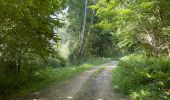 Randonnée Marche Rethondes - en forêt de Laigue_15_07_2021_autour du Mont du Fouilleux et du Mont des Singes - Photo 18