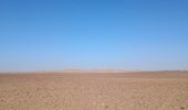 Tour Wandern M'Hamid El Ghizlane ⵎⵃⴰⵎⵉⴷ ⵍⵖⵯⵣⵍⴰⵏ امحاميد الغزلان - Campement 1 au Campement 2 - Photo 18