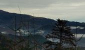 Tour Wandern Bitschweiler - Bitschwiller-Fourmi (29/11/2018) - Photo 3