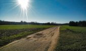 Tour Mountainbike Wirten - Gérouville  -  Balade_VTT_28kms - Photo 18