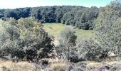 Tour Wandern Saint-Ours - 2019-09-12 - Puy des Gouttes - Puy Chopine -Puy Coquille - Puy de Jumes - Photo 4