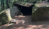 Trail  Obernai - MUR PAÏEN MONT STE ODILE  - Photo 18