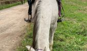 Excursión  Métairies-Saint-Quirin - Rond pré avec Lola et shine  - Photo 3