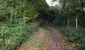 Tocht Stappen Bitsingen - Eben emael et montagne st Pierre  - Photo 5