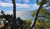 Trail Walking Bormes-les-Mimosas - TOULON / BORMES LES MIMOSAS: LA LONDE - Photo 7