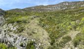 Tour Wandern Castellane - Chasteuil - Cadières de Brandis - Photo 6