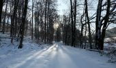 Tocht Noords wandelen Habscht - Eischen - Septfontaines - Photo 4