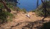 Randonnée Marche Hyères - Sentier côtier presqu’île de Gien - Photo 4