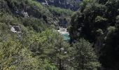 Tour Wandern La Palud-sur-Verdon - Chemin Martel  - Photo 20