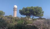 Trail Walking Leucate - franki plage - phare leucate - hommage aux pompiers de l'aude - Photo 13