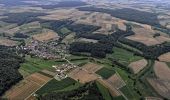 Trail On foot Liebenau - Zwergen - Z2 - Photo 1