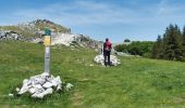 Excursión Senderismo Bouvante - Fond d'Urle Chaud Clapier  - Photo 10