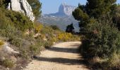 Randonnée Marche Gémenos - Coulin, Mont Cruvelier, Sommet de Bigou - Photo 6