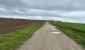 Tour Wandern Wissant - Wissant Cap Gris Nez Batterie Todt 23 km - Photo 10