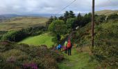 Excursión Senderismo West Cork - Ardgroom -  Eyeries - Photo 4