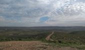 Excursión A pie מועצה אזורית בני שמעון - IL-continues northeast - route uncertain - Photo 3