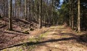 Tour Zu Fuß Oberursel - Keltenrundwanderweg - Photo 4