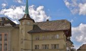 Tour Zu Fuß Safenwil - Altes Schützenhaus - Rottannen - Photo 5