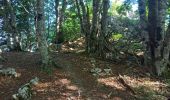 Tour Wandern Izeron - La lunette- fontaine et grotte de Byry - Photo 13