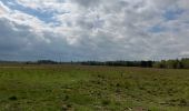 Percorso  Kalmthout - Verkorte reewandeling - Photo 6