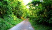 Randonnée Marche Pierrefonds - en forêt de Compiègne_30_la Tournante sous le Mont Saint-Mard - Photo 5