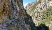 Randonnée Marche Thuès-Entre-Valls - gorge de la Carança  - Photo 3