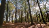 Randonnée Marche Genappe - Bois de Ways Ruart, à l’envers - Photo 4