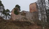 Tocht Stappen Barr - Barr - Mont St Odile - château du Landsberg - Photo 19