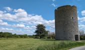 Trail Walking Athée-sur-Cher - Athée-sur-Cher - Chandon - Tour du Brandon - 21.2km 160m 4h40 (50mn) - 2025 05 10 - Photo 9