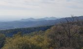 Tocht Stappen Bédoin - Beboin la combe de Curnier - Photo 15