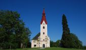 Tour Zu Fuß Paldau - Paldauer Höhepunkte - Photo 5