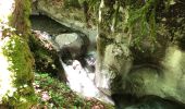 Tour Wandern Talloires-Montmin - Talloires ermitage  - Photo 1