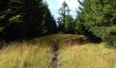 Trail Walking Jalhay - Vallée de la Hoëgne  - Photo 4