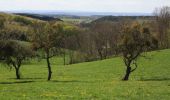 Trail On foot Poppenhausen - Dietershausen Rundweg 2 - Photo 2