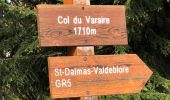 Randonnée Marche Valdeblore - La Colmiane - Le Caire Gros - Photo 20