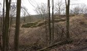 Tocht Te voet Volkmarsen - Rundwanderweg 4 ab Wanderparkplatz Erpetal des Naturparks Habichtswald - Photo 2