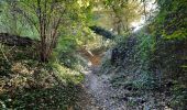 Excursión Senderismo Voeren - boucle à mouland  - Photo 4